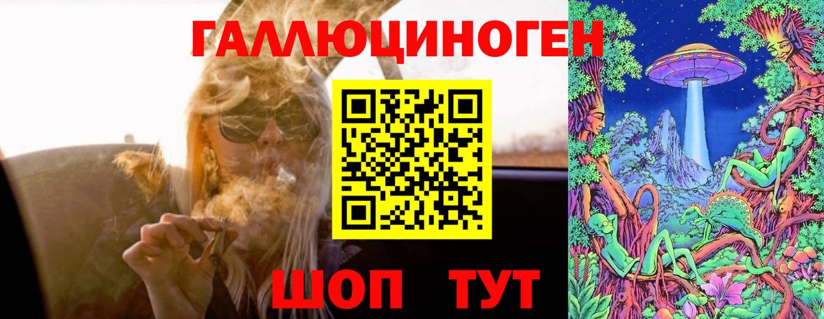 Александров  Псилоцибиновые грибы GOLDEN TEACHER  Вход с VPN 